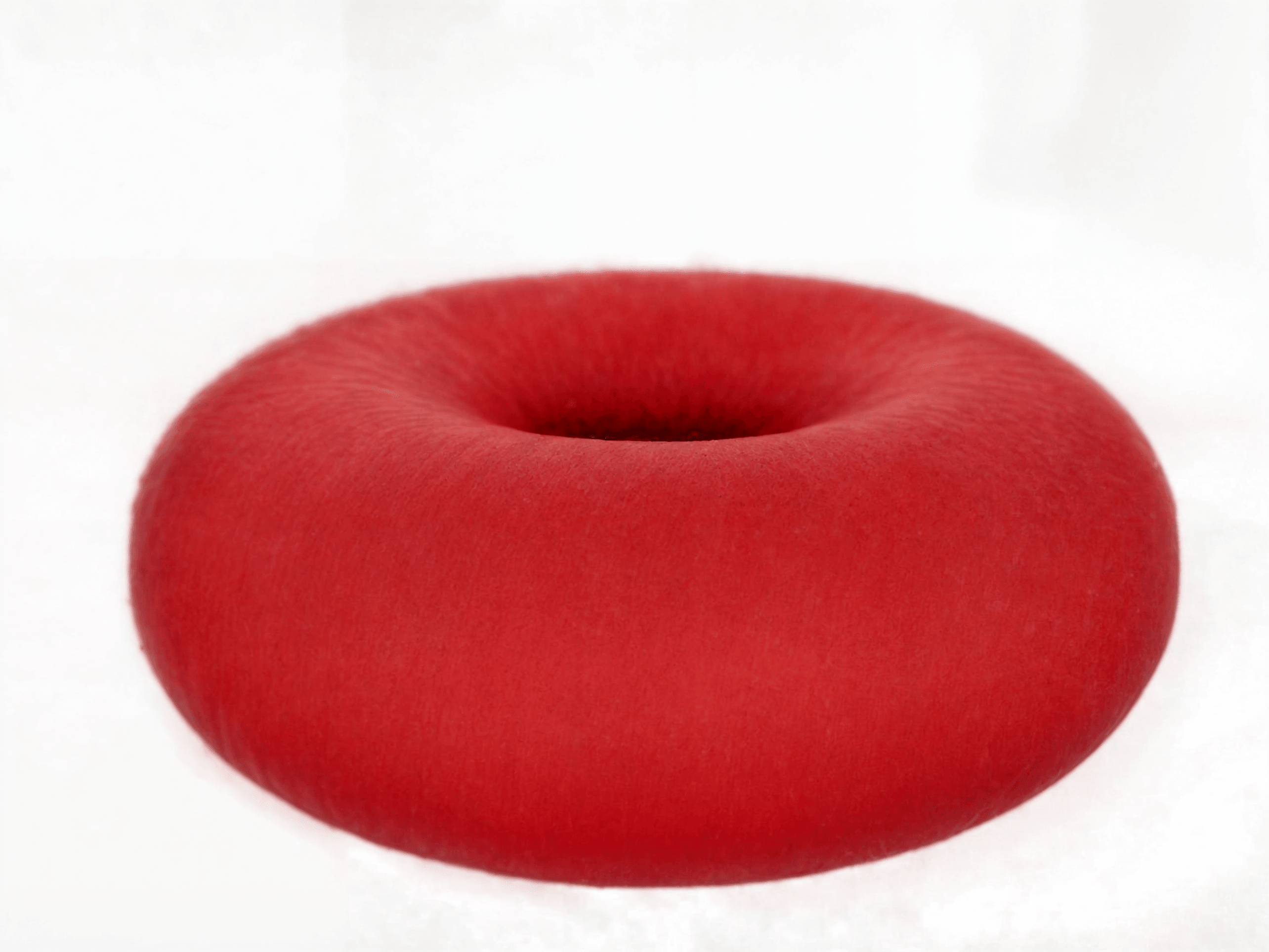 The Donut