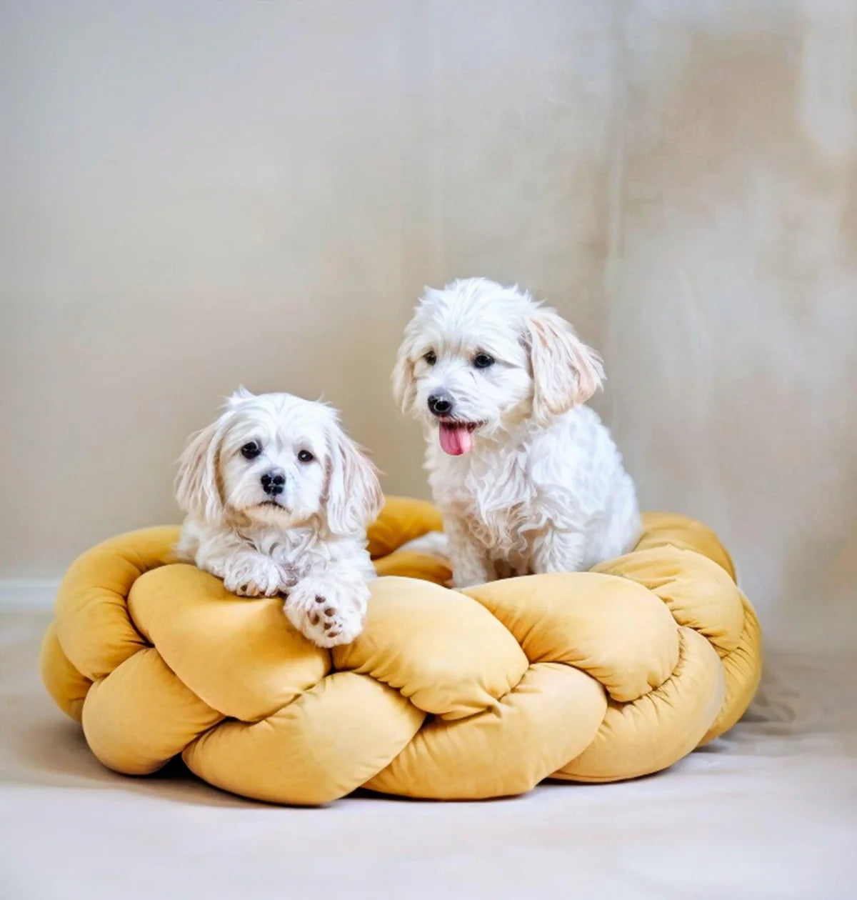 The Yellow Pet Bed