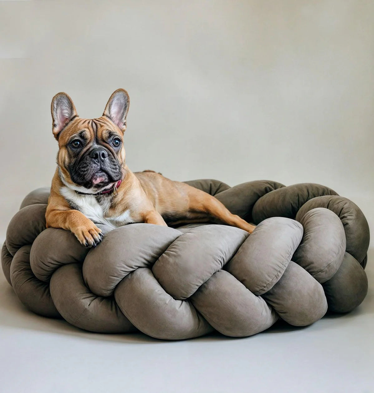 The Gray Pet Bed
