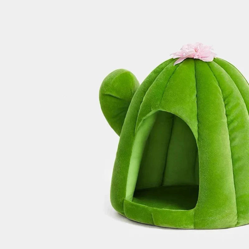 The Captus Pet Bed