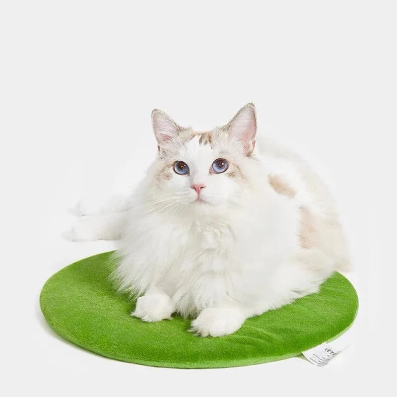 The Captus Pet Bed